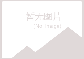 龙门县初夏建设有限公司